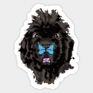 Newfoundland and blue butterfly Sticker